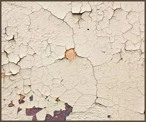 Royal Palm Beach Restoration Company Royal Palm Beach, FL 561-403-0150 Royal Palm Beach Restoration Company Royal Palm Beach, FL 561-403-0150