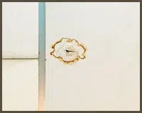 Royal Palm Beach Restoration Company Royal Palm Beach, FL 561-403-0150 Royal Palm Beach Restoration Company Royal Palm Beach, FL 561-403-0150 - water-leaks-sidebar